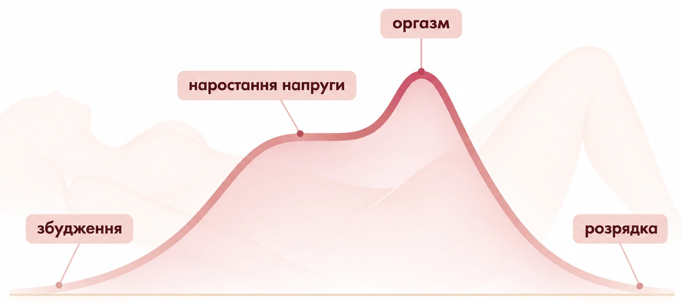 Напруга і розрядка: що відбувається в тілі під час збудження і оргазму